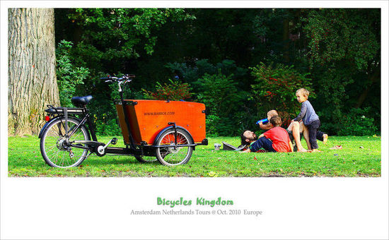 为什么荷兰人那么爱骑自行车
